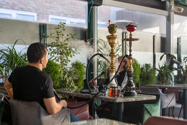 Two men smoking hookah shisha on a sunlit outdoor café terrace surrounded by lush green plants.