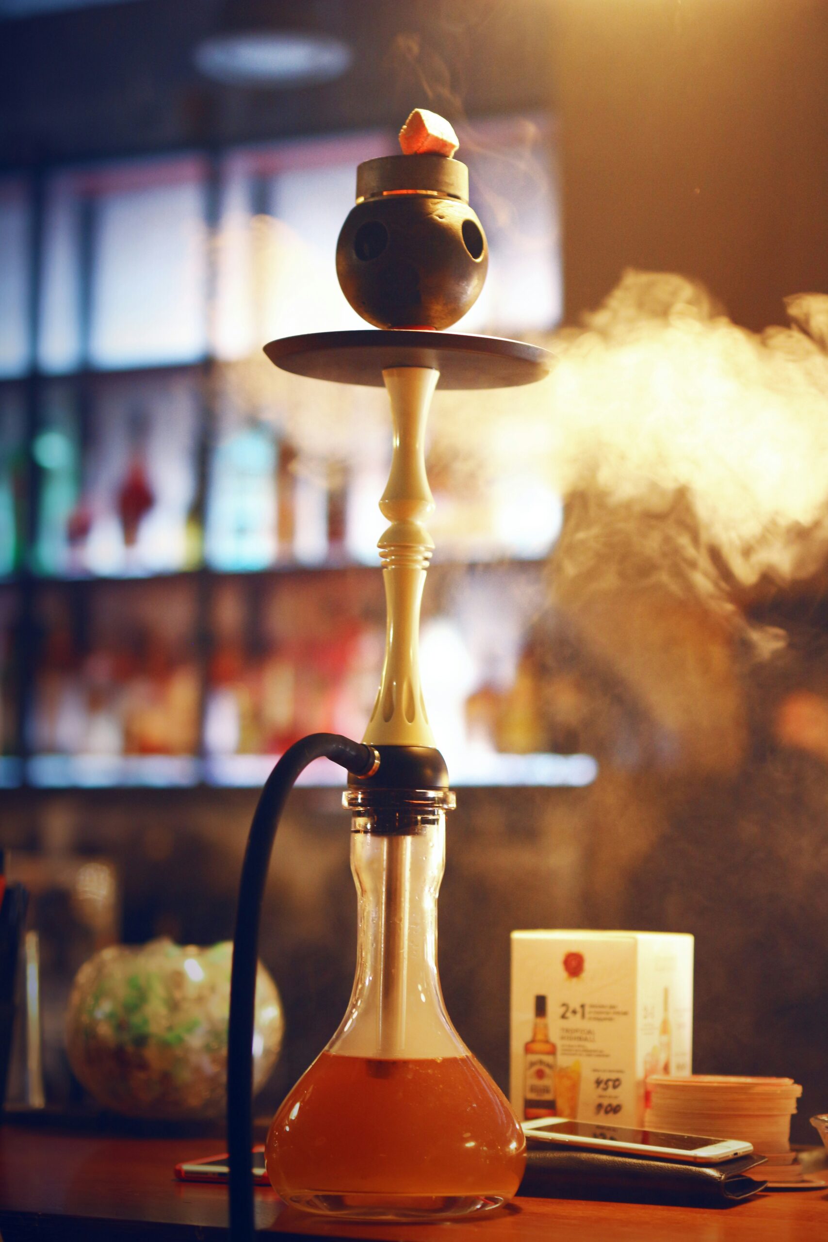 Two men smoking hookah shisha on a sunlit outdoor café terrace surrounded by lush green plants.
